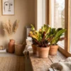 3x Croton Codiaeum mix (Wonderstruik) - ø12 - 30 cm - Afbeelding 6