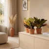 3x Croton Codiaeum mix (Wonderstruik) - ø12 - 30 cm - Afbeelding 3